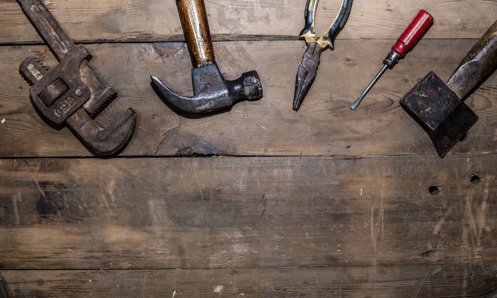 5 claves para elegir LMS